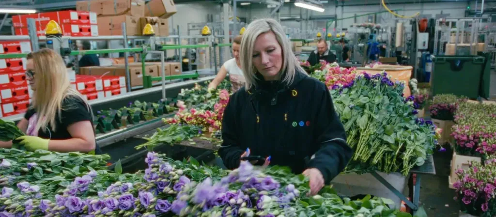 Klantcasevideo voor de PlantScout-app, gemaakt door metmotion (beeld 3)