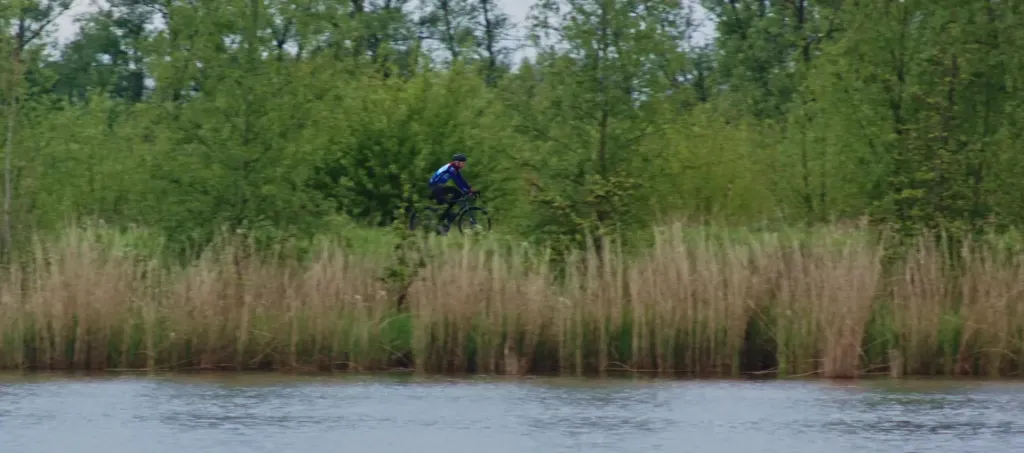 wetlands C4C video