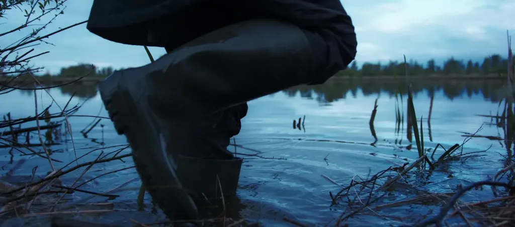 wetlands video met C4C