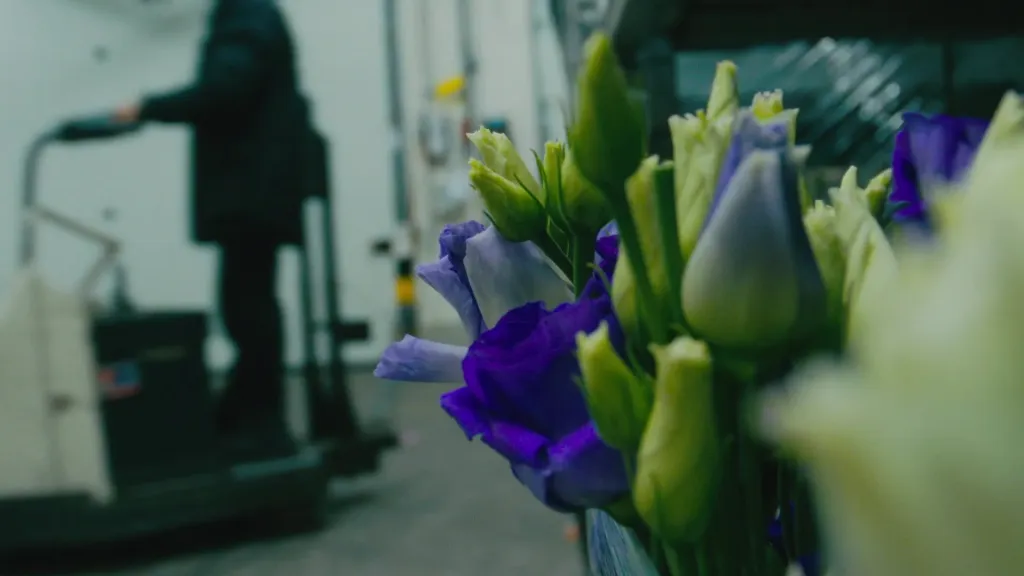 Klantcasevideo voor de PlantScout-app, gemaakt door metmotion (beeld 1)